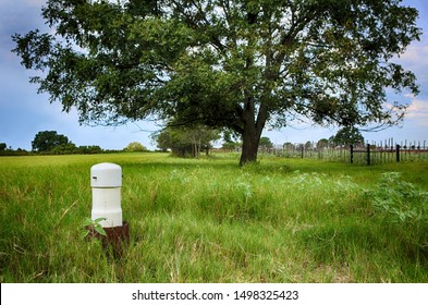 Unfinished Draw-well. Texas Rural View Of Grass Field With Pecan Tree On Background