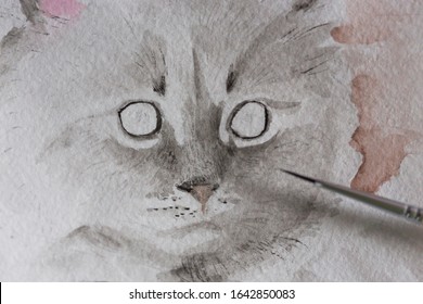 Unfinished Watercolor Painting Of Grey Fluffy Kitten Or Kitty