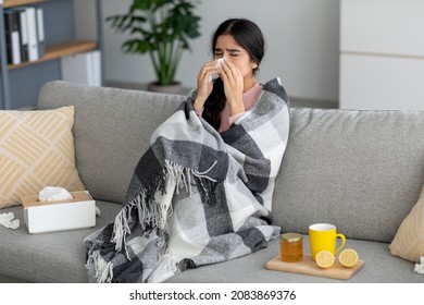 Unhappy young indian lady sneezes in napkin, blows nose, suffers from fever, flu on couch in room interior with tea, honey and lemon. Home treatment for cough, runny, cold and covid-19, self-isolation - Shutterstock ID 2083869376