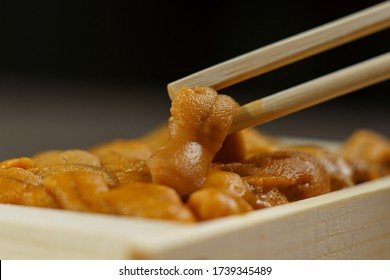 Uni Sushi In Chopsticks. Sea Urchin(uni Sashimi) ,Japanese Food.