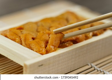 Uni Sushi In Chopsticks. Sea Urchin(uni Sashimi) ,Japanese Food.