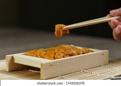 Uni Sushi In Chopsticks. Sea Urchin(uni Sashimi) ,Japanese Food.