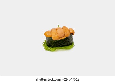 Uni Sushi With White Background