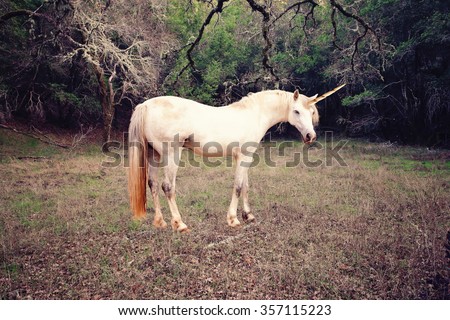 Unicorn