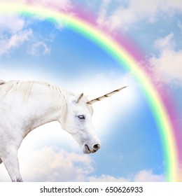 Unicorn with rainbow in the sky