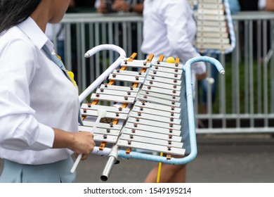 Unidentifiable Young Woman Playing Xylophone During Panama National Day Parade Celebrating The Separation Of Panama From Colombia. Selective Focus.