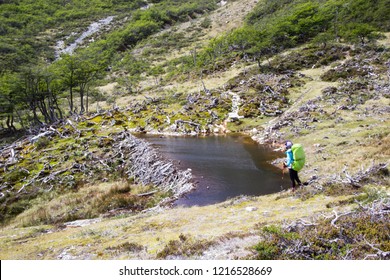an unidentified backpacker and a beaver dam in a trail of Valdivieso mountain range, Ushuaia, Tierra del Fuego island, Patagonia Argentina, South America