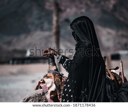 An unidentified bedouin woman in a black abaya standing near a lying camel with her hand on a traditional camel saddle
