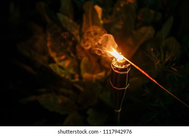 482 Raya fireworks Stock Photos, Images & Photography | Shutterstock