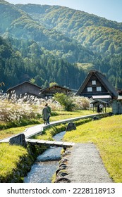Unidentified Japanese with a background of Shirakawago village during autumn with a triangle house, rice field, and pine mountain.