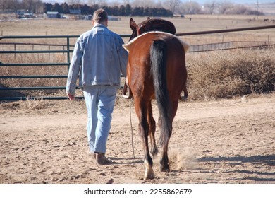 Unidentified man dressed in denim with his back to the camera, leads a brown and black horse with its tail to the camera away from the camera out to a field in the distance of a dry prairie and dirt. - Powered by Shutterstock