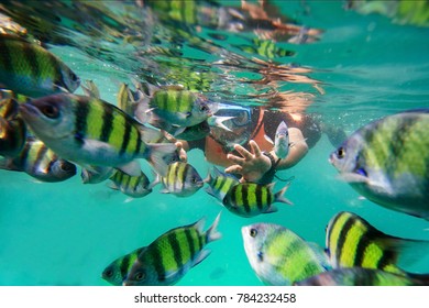 Unidentified Man In Snorkeling Mask Dive Underwater Activity With Beautiful Colorful Tropical Fishes In Coral Reef Sea Pool. Soft Focus & Noise Visible Due To High ISO.