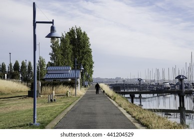 Unidentified Man Walking His Dog In The South SF Marina. 