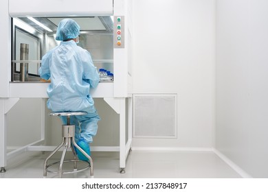 Unidentified Microbiologist Is Testing The Sample Under The Laminar Air Flow Cabinet In The Clean Room Of Quality Control Laboratory In Pharmaceutical Industry.