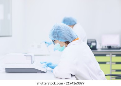 Unidentified Operator Or Chemist Is Testing Moisture Or Water Content In Sample With Automatic Moisture Balance In The Laboratory. Concept Of Quality Control In Pharmaceutical Industry.