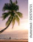 An unidentified person standing under the palm tree during the sunset, Sanya, China, copy space for text