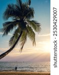 An unidentified person standing under the palm tree during the sunset, Sanya, China, copy space for text