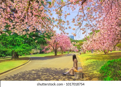 Unidentified woman relaxes under blossoming cherry tree in Shinjuku Gyoen National Garden. Shinjuku Gyoen is the best places in Tokyo to see cherry blossoms. Springtime, blu sky.