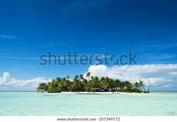 Uninhabited or desert island with palm trees on it\
in the shallow turquoise water of the Blue Lagoon inside Rangiroa\
atoll, an island of the Tahiti archipelago French Polynesia in the\
Pacific Ocean.