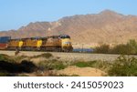 A Union Pacific freight train in the mountains of Yuma, Arizona, not far from from the borders with California and Mexico, with desert plants in view, in January of 2024.