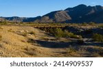 A Union Pacific train trestle with Arizona Mountains behind it, near Vicksburg, with desert plants and saguaros in January of 2024, near the town of Vicksburg, La Paz County, close to Wickenburg.