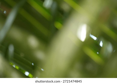 A unique abstract background featuring blurred green lines and subtle light reflections, suggesting natural foliage in motion or an artistic blur.