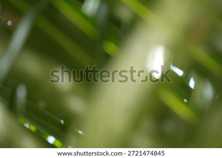 A unique abstract background featuring blurred green lines and subtle light reflections, suggesting natural foliage in motion or an artistic blur.
