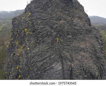 Unique black volcanic basalt columnar rockface with blooming yellow Aurinia saxatilis plants