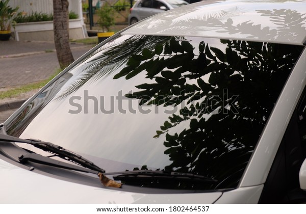 Unique Car Window or\
Kaca film with leaf shadows. 3M Automotive Window Film -\
Crystalline on Toyota\
Veloz