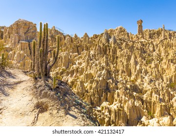 Unique Geological Formations Cliffs Shapes, Cactus Plant Moon Valley Park, La Paz Mountains, Bolivia Tourist Travel Destination.