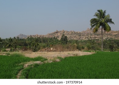 3,654 India country side Images, Stock Photos & Vectors | Shutterstock