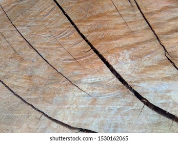 Unique modern latest wood texture and background