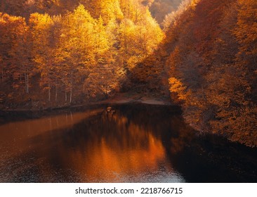 A Unique Moment When The Light Hits The Lake. Autumn Story.