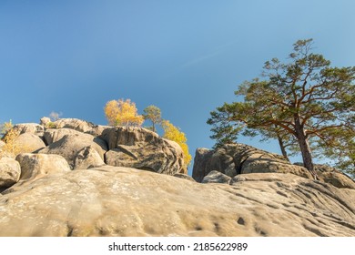Unique nature landscape with ancient crags in Ukraine. Pine trees and birches with golden leaves growing on a crags in autumn - Shutterstock ID 2185622989