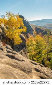 Unique nature landscape with ancient crags in Ukraine. Pine trees and birches with golden leaves growing on a crags in autumn - Shutterstock ID 2185622991