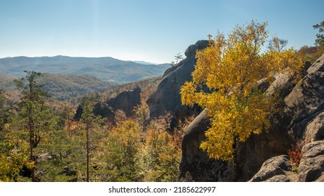 Unique nature landscape with ancient crags in Ukraine. Pine trees and birches with golden leaves growing on a crags in autumn - Shutterstock ID 2185622997
