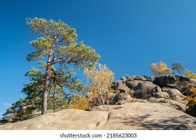 Unique nature landscape with ancient crags in Ukraine. Pine trees and birches with golden leaves growing on a crags in autumn - Shutterstock ID 2185623003
