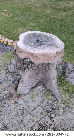 A unique outdoor cement bench designed to resemble a natural tree stump. This handcrafted concrete furniture blends rustic aesthetics with durability, making it ideal for gardens, parks, patios, and landscape decoration.