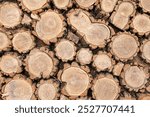 A unique path in the park, laid out from sawn tree trunks (cuts). It has an attractive appearance. Pleasant, sanded, environmentally friendly wood. View from above.