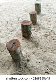 Unique Pattern And Beautiful Pieces Of Trees Trunk As Wooden Chair, Outdoor Located