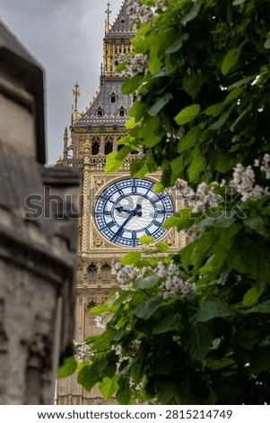 Unique perspective of big ben through foilage in London