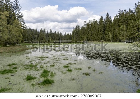 The unique protected area of ​​Kladská u Mariánské Lázně with a rich occurrence of peat bogs, a very popular place for tourists.