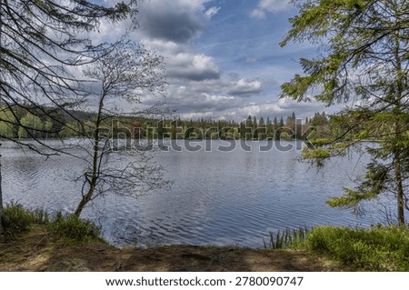 The unique protected area of ​​Kladská u Mariánské Lázně with a rich occurrence of peat bogs, a very popular place for tourists.
