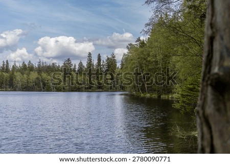The unique protected area of ​​Kladská u Mariánské Lázně with a rich occurrence of peat bogs, a very popular place for tourists.