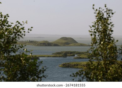 Unique pseudocraters formed by volcanic activity rise like green mounds from the surface of Lake Mývatn in Iceland. The view through framing trees emphasizes the raw beauty of this rare natural phenom