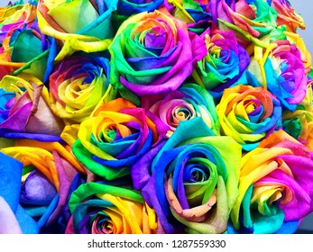 Bouquet Colored Roses Rainbow Rose Stock Photo (Edit Now) 127274552