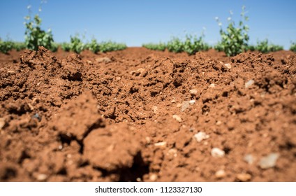 Unique red soil rich in clay and limey rock at Tierra de Barros wine-making region, Extremadura, Spain