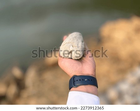 A unique rock solid stone in white colour held in a palm at lake side adventure tourism spots