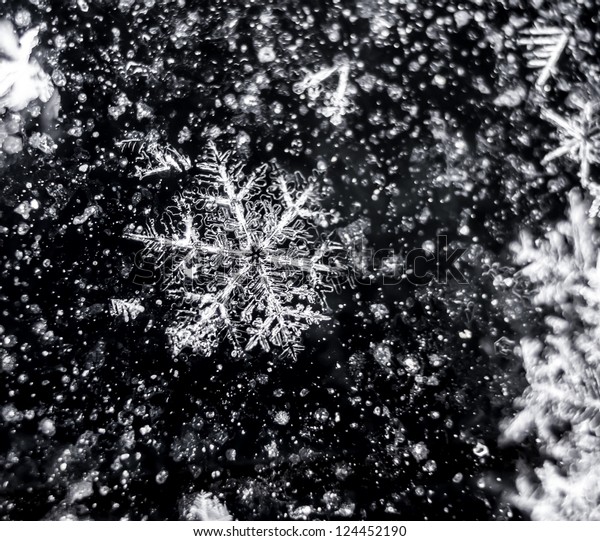 Unique Snowflake Stock Photo (Edit Now) 124452190