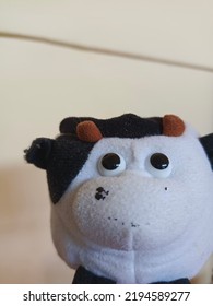 The Unique Stuffed Cow For Computer Desktop Wallpaper